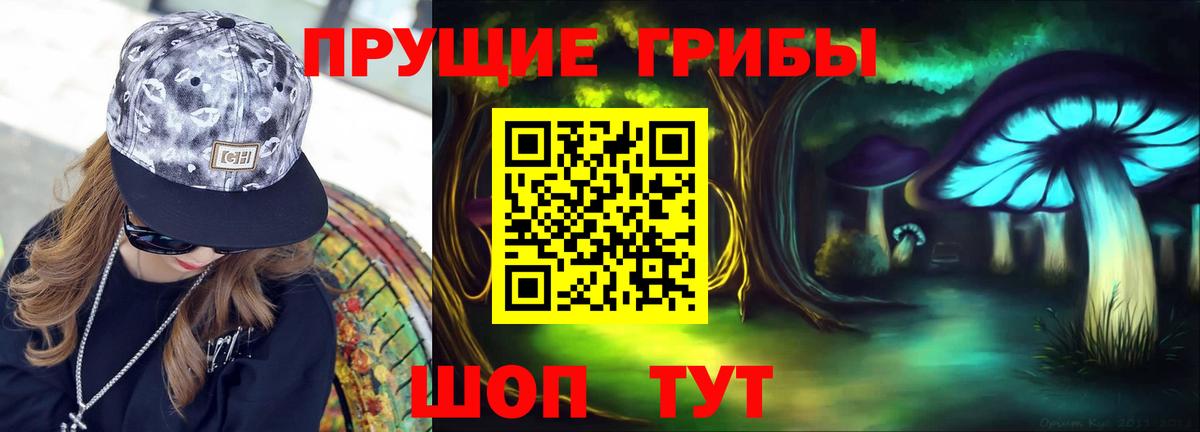 Галлюциногенные грибы GOLDEN TEACHER  Галлюциногенные грибы GOLDEN TEACHER  Коломна  Вход с VPN 